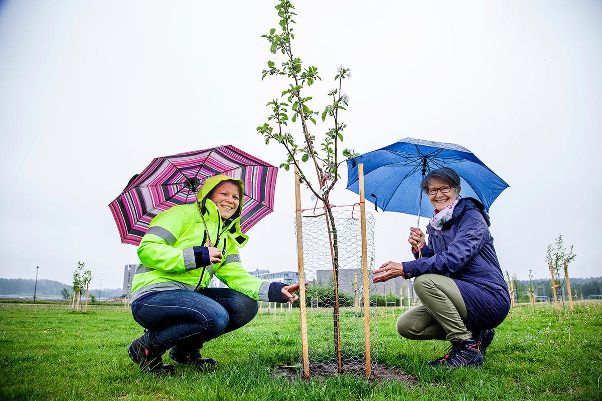 Kati Tuura ja Eira Mononen ovat olleet perustamassa Suurpeltoon yhteisöllistä Rakkauden puutarhaa.